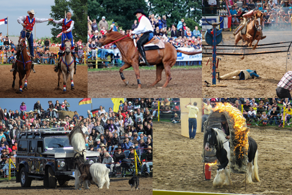 schaubilder_collage